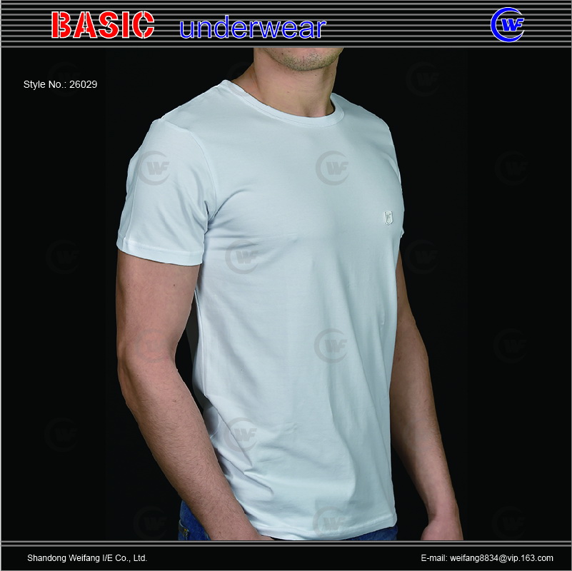 26029 men t-shirt A.jpg