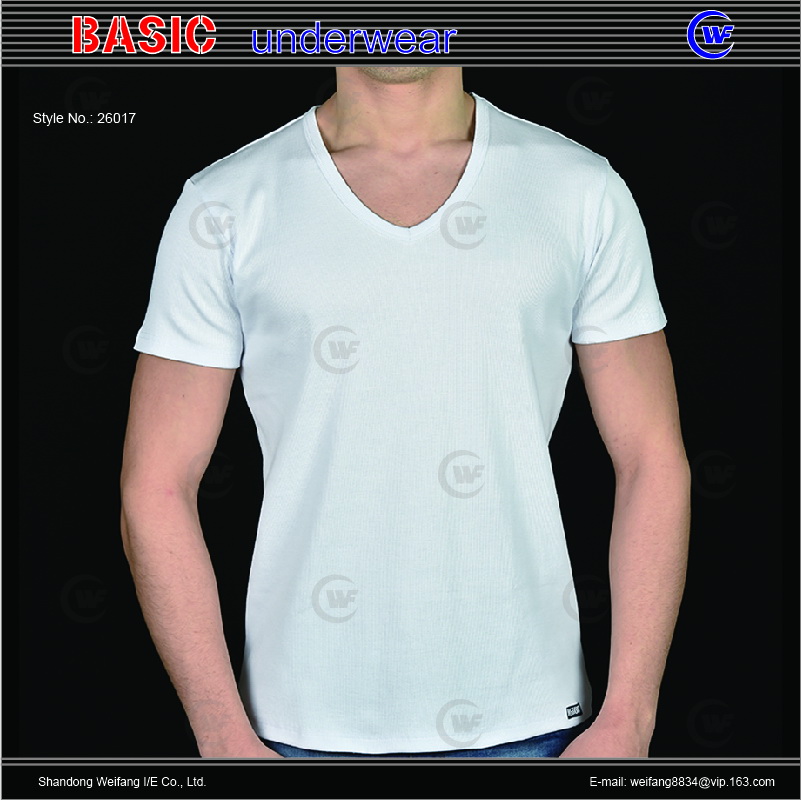 26017 men tshirt V A.jpg