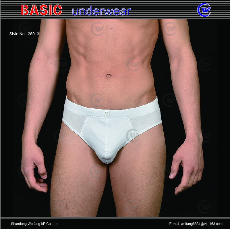 26013 men brief A.jpg