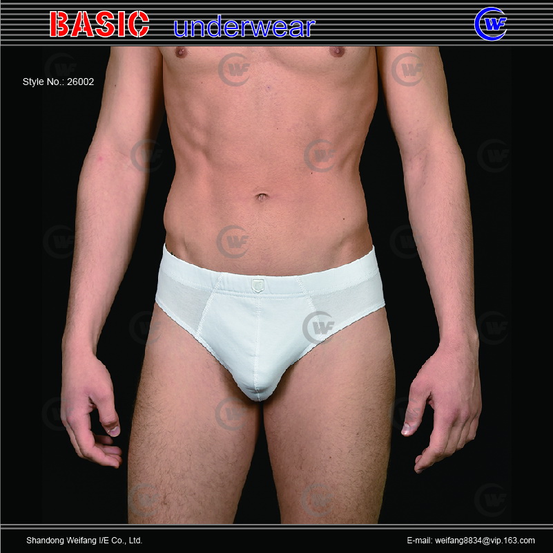 26002 men brief A.jpg