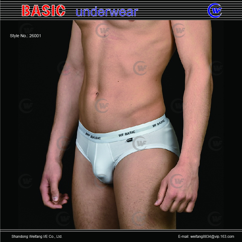 26001 men brief.jpg